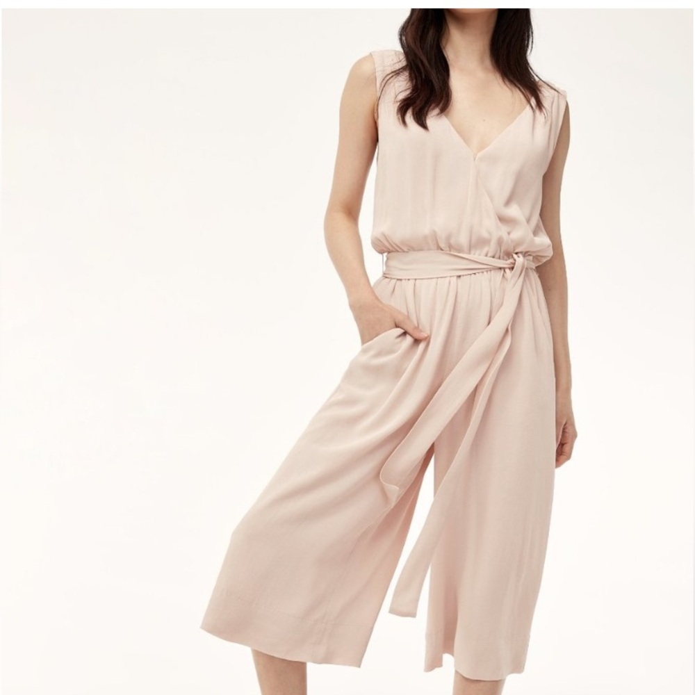 Aritzia Babaton Maximillian Jumpsuit